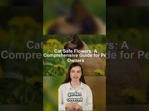 How Brief To Cut Flower Stems For A Vase: An Entire Guide For Longer-lasting Bouquets 香港花店 訂花送花 How Brief To Cut Flower Stems For A Vase: An Entire Guide For Longer-lasting Bouquets 香港花店 訂花送花